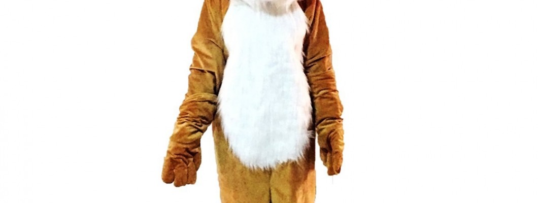 How School Mascot Costumes Can Promote Inclusivity