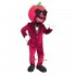 Tomato Mascot Costume Cosplay