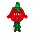 Tomato Mascot Costume Cosplay