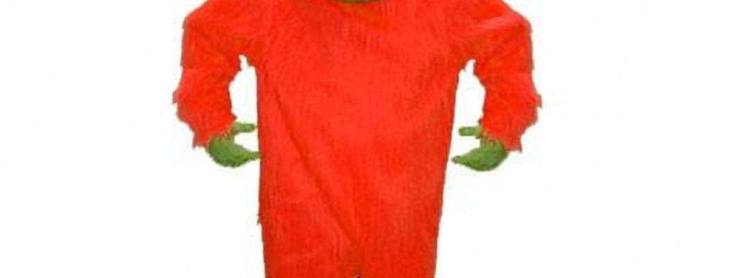 Seasonal Wolf Mascot Costumes: How to Modify for Different Occasions