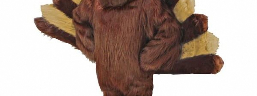 Maintenance and Care Tips for Eagle Mascot Costumes