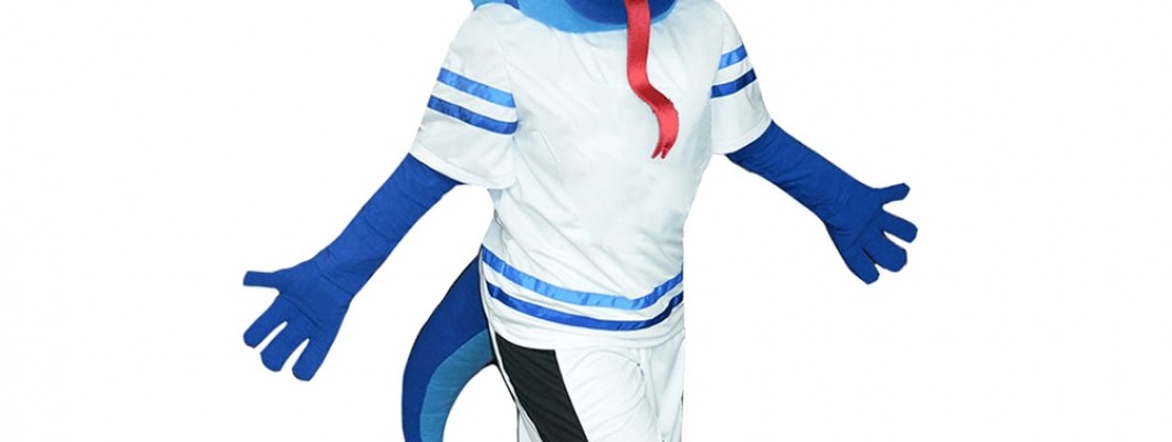 Collaborative Projects: Designing Dragon Mascot Costumes as a Class or Team