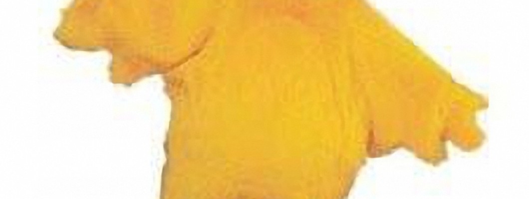 A Brief History of Bear Mascots in Sports and Their Costumes