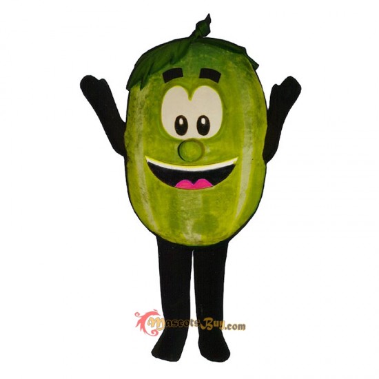 Wally Watermelon (Bodysuit not included) Mascot Costume Cosplay