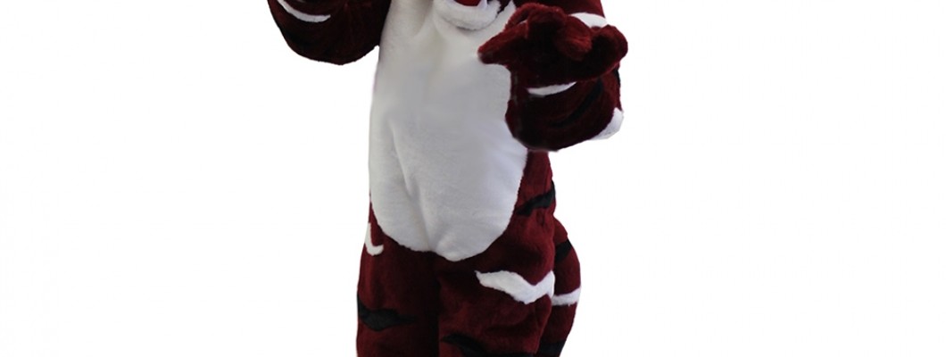 Bumblebee Boogie: Dance-Ready Bee Mascot Costumes