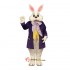 Wendell Rabbit-Purple Mascot Costume Cosplay