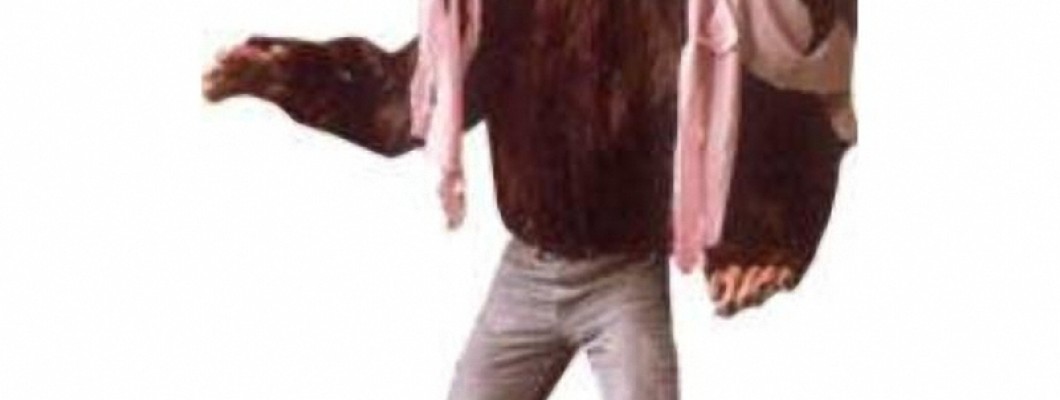 How to Care for a Vinyl Chipmunk Mascot Costume