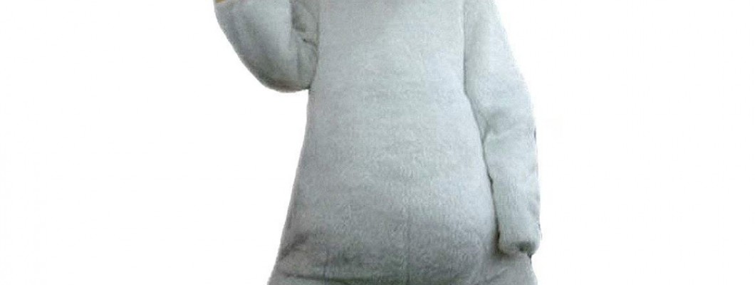 Seasonal Sensations: Fish Mascot Costumes Tailored for Winter and Summer Events