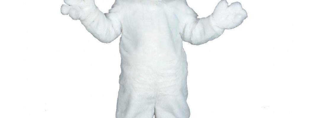 Exploring the Different Color Schemes for Lion Mascot Costumes
