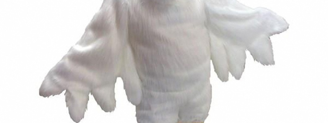 Bird Mascot Costume Safety: What You Need to Know