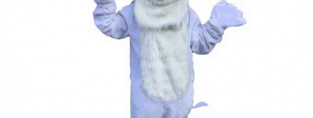 Animal Mascot Costumes and Accessibility: Ensuring Everyone Can Enjoy Being a Mascot