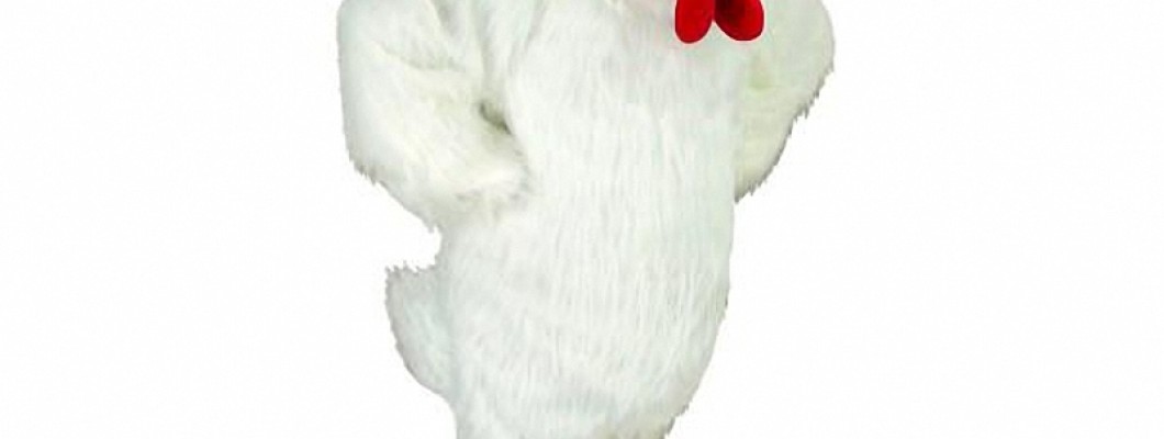 The Best DIY Duck Mascot Costume Ideas on a Budget