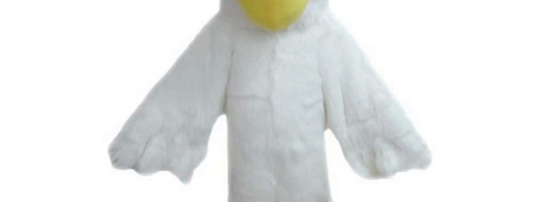 Comfort Tips for Dogs Wearing Mascot Costumes