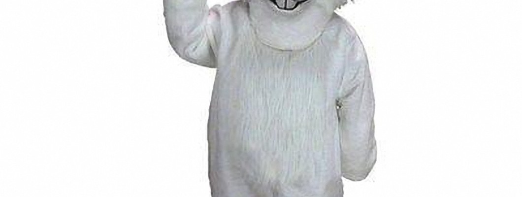 Adorable Dog Mascot Costumes for Small Breeds