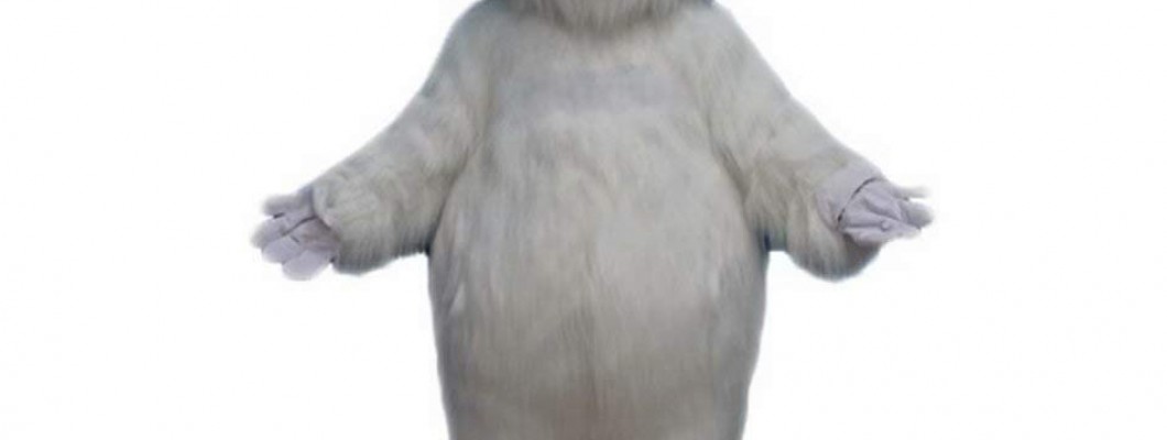 Enhancing Customer Engagement with Squirrel Mascot Costumes