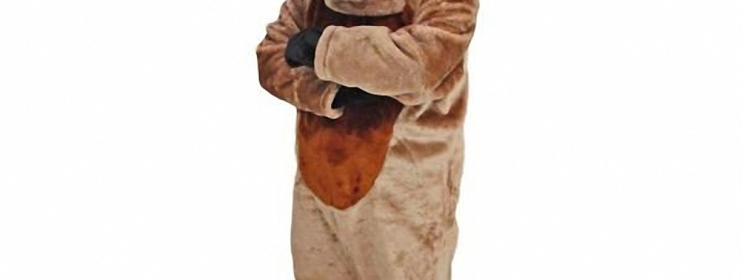 Famous School Mascot Costumes in Pop Culture