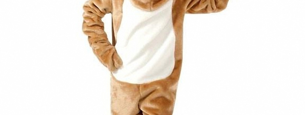 Why Businesses Should Invest in Custom Dragon Mascot Costumes