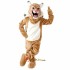 Wildcat Bobcat Mascot Cosplay