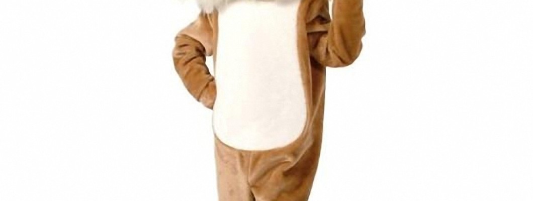 Seasonal Themed Chicken Mascot Costumes for Every Occasion