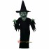 Witch Mascot Costume Cosplay