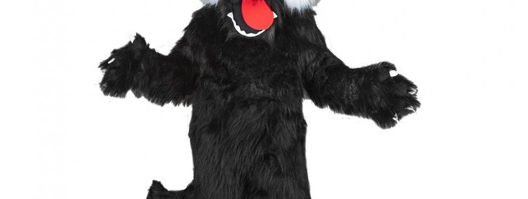Affordable Mascot Costumes for TV and Radio Promotions