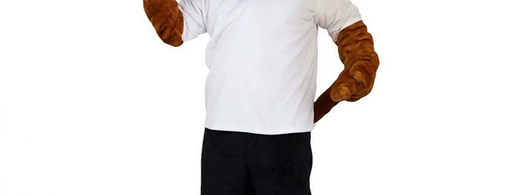 The Symbolism of Colors in Rabbit Mascot Costumes