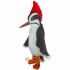 Woodpecker Mascot Costume Cosplay