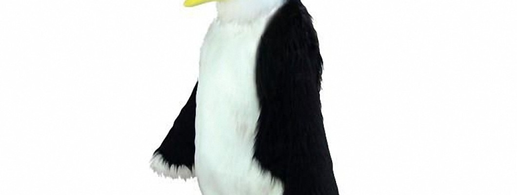 From Concept to Reality: Designing a Professional Cat Mascot Costume