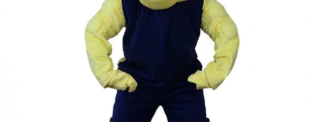 The Cultural Significance of Holiday Mascot Costumes