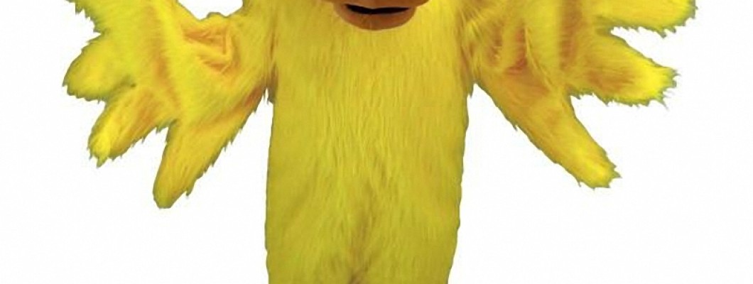 How to Customize Your Eagle Mascot Costume for Any Occasion