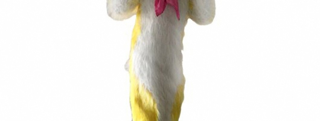 Animal Rights and Mascot Costumes: An Ethical Discussion
