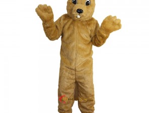 Squirrel Mascot Costumes for International Wildlife Conservation Efforts