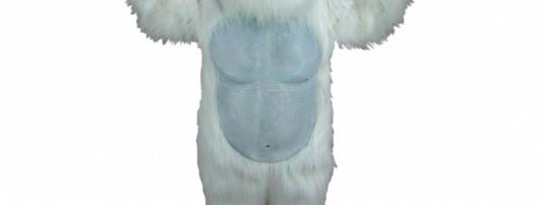 How to Design a Winning School Mascot Costume