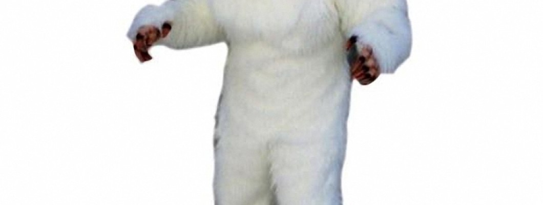 Mascot Costumes for Fundraising Events: How to Choose